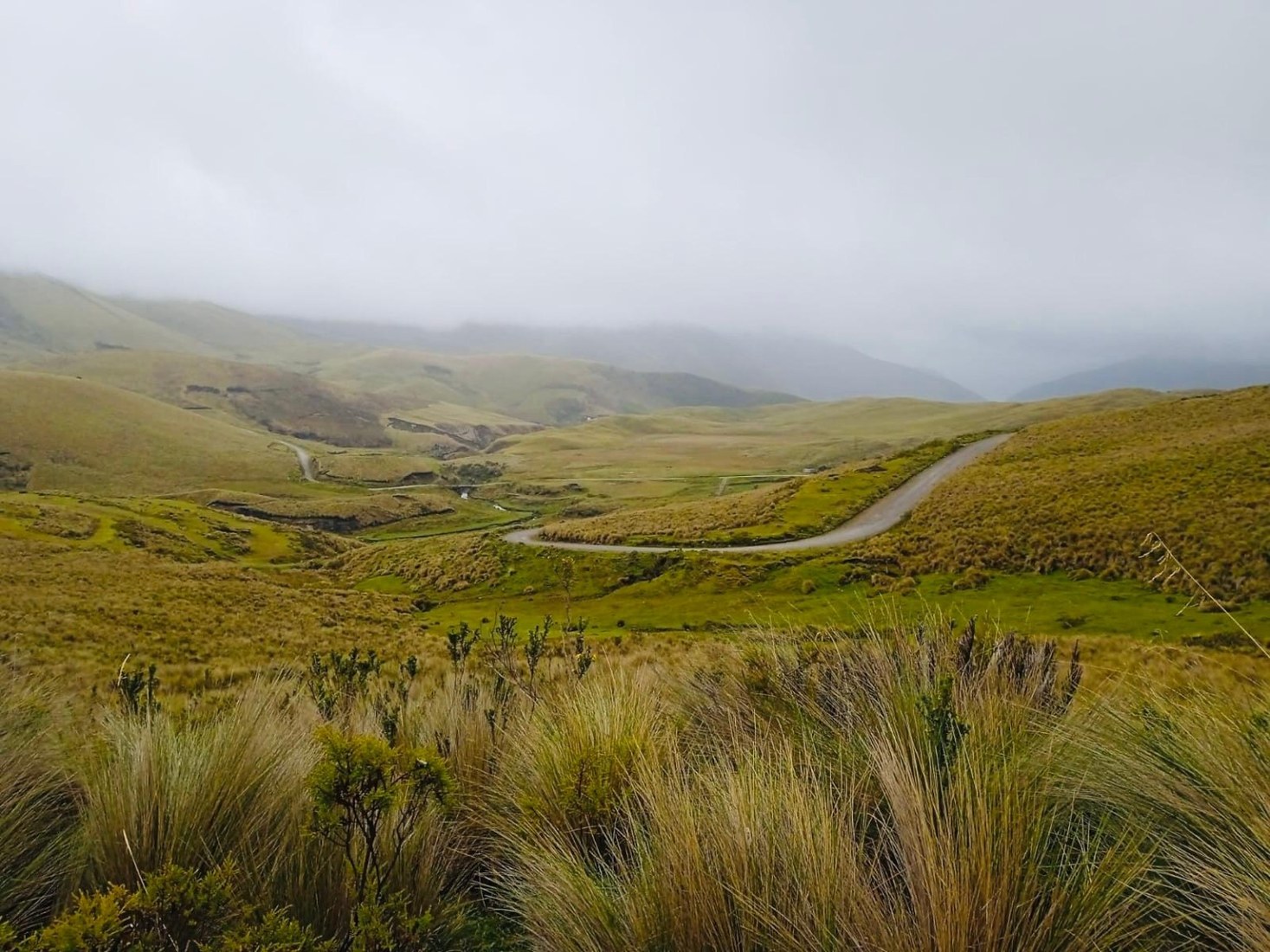 Mirador de p&aacute;ramo